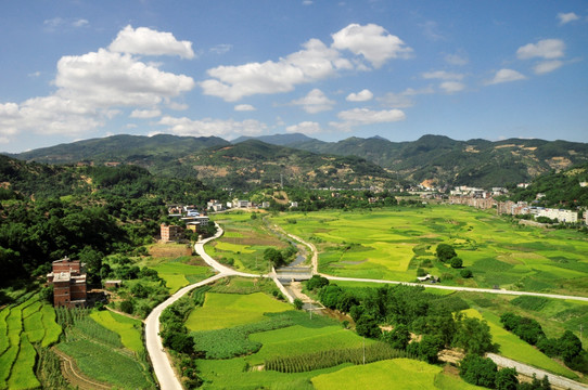 乡土绿野