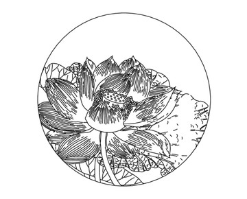 荷花芙蓉矢量白描線稿裝飾雕刻
