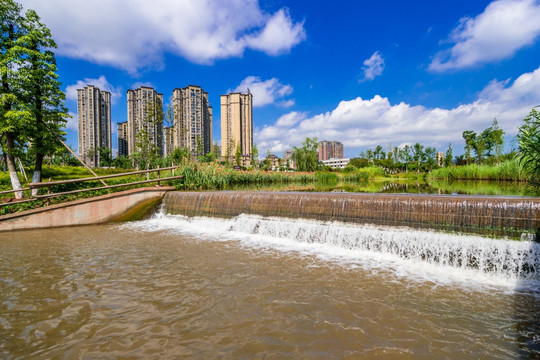 湿地公园水景