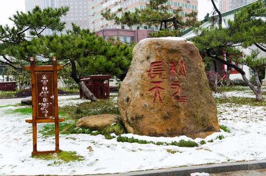 滕王阁雪景