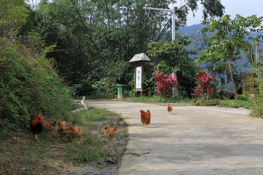 乡村公路