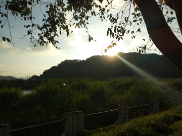 湖畔阳光草地