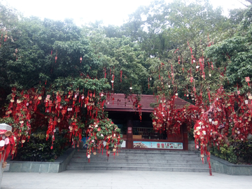 祈福林