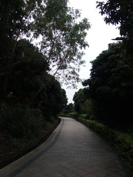 山间步道