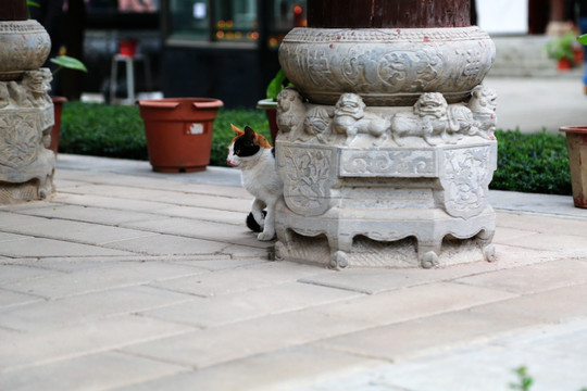 唐观音禅寺古建柱础 柱础