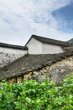 太极湖村景观