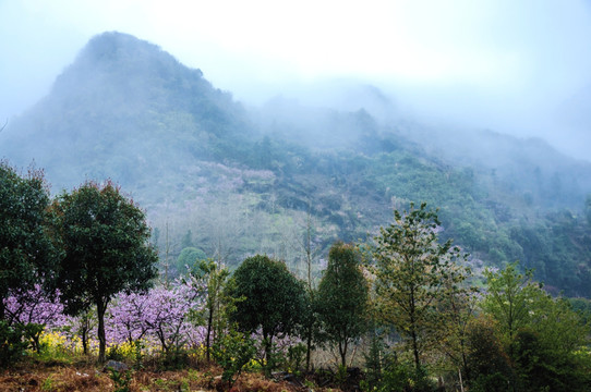 山村春色