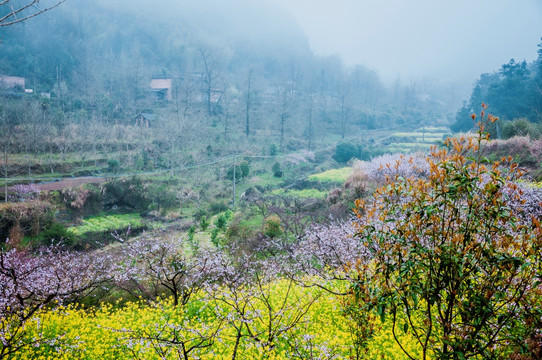 山村春色