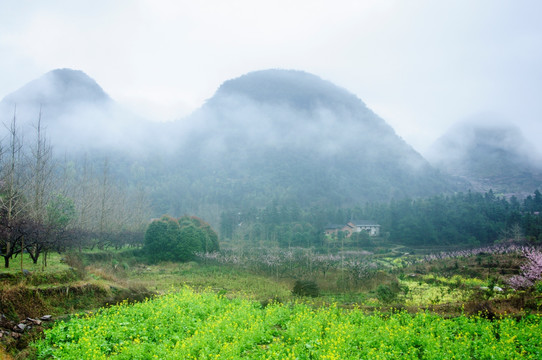 山村春色