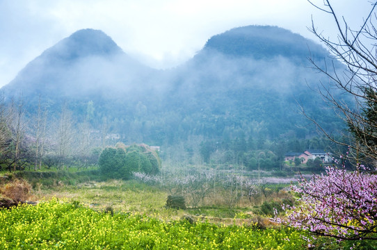 山村春色