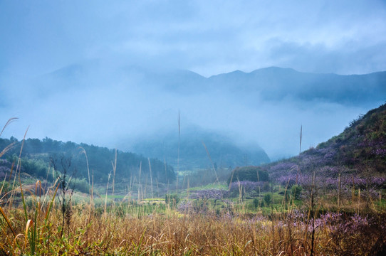 山村春色