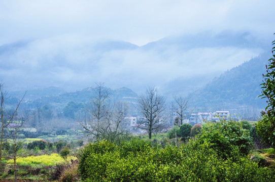 山村春色