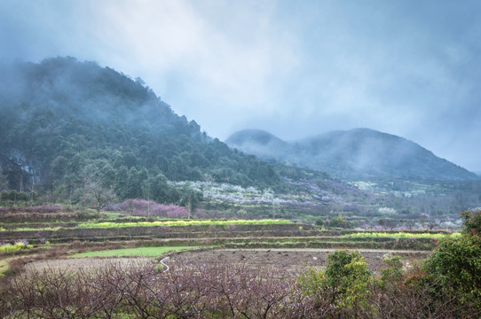 山村春色