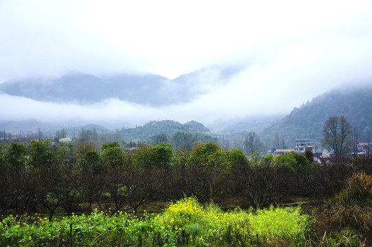 山村春色