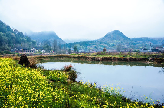 山村早春