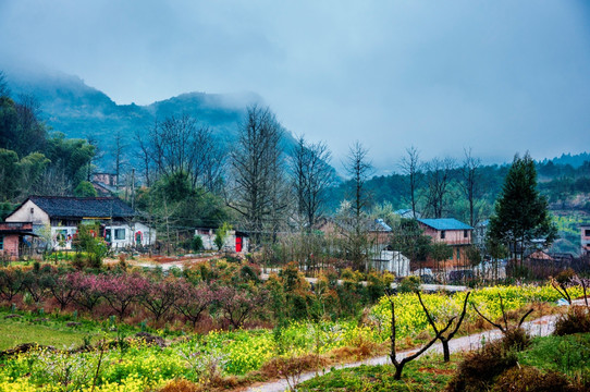 山村早春