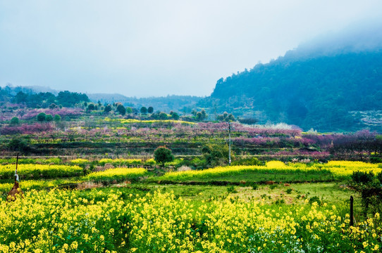 山村早春