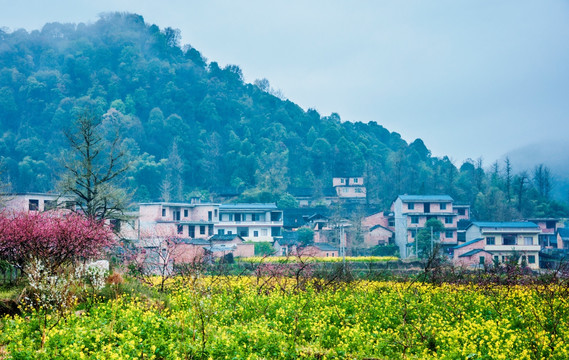 山村早春