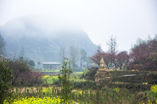 山村早春