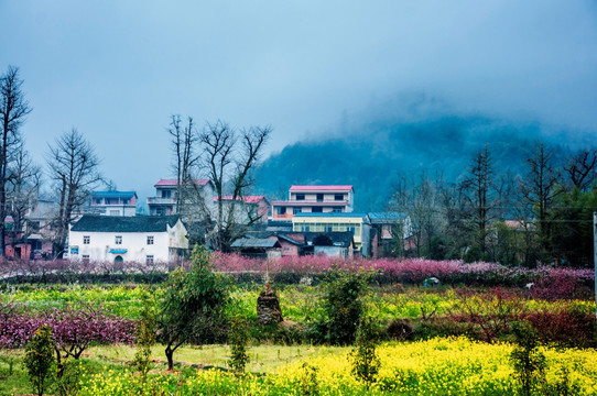 山村早春