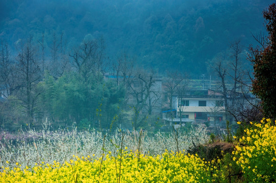 山村早春