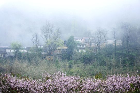 山村早春