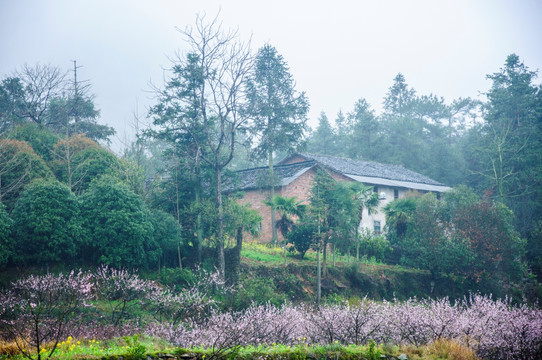 山村早春