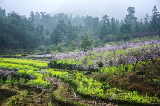 山村早春