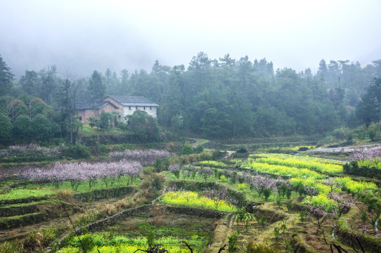 山村早春