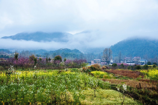 山村早春