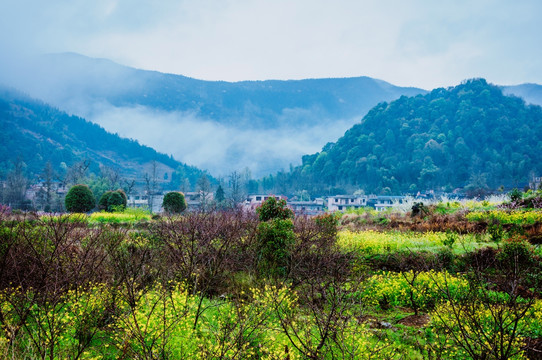 山村早春