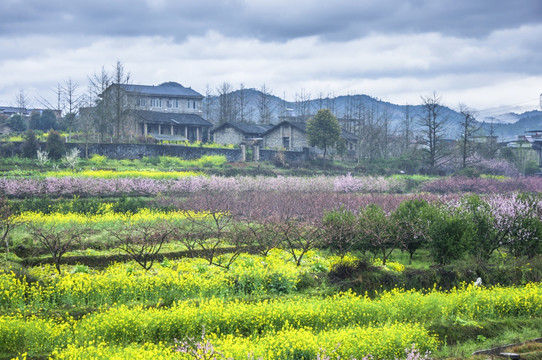 山村早春