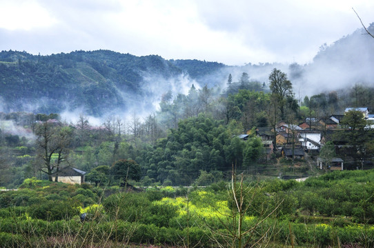 雾色山野