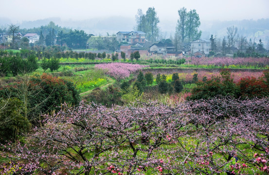 美丽乡村