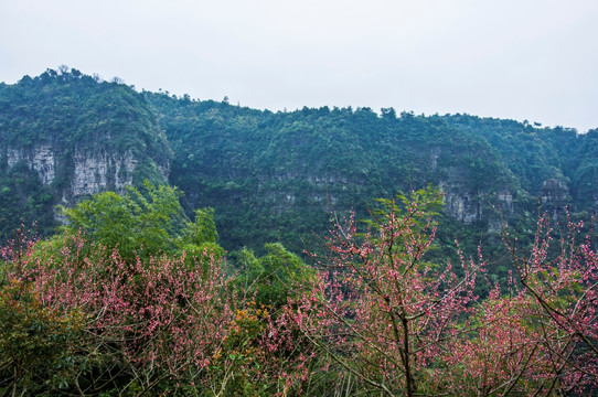 山野风光