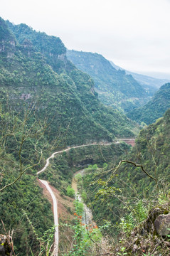 山路弯弯