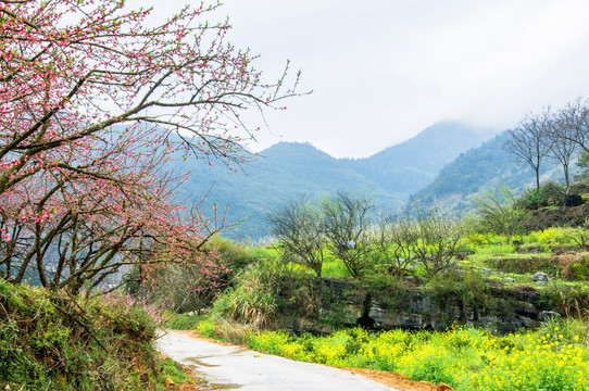 乡村小道