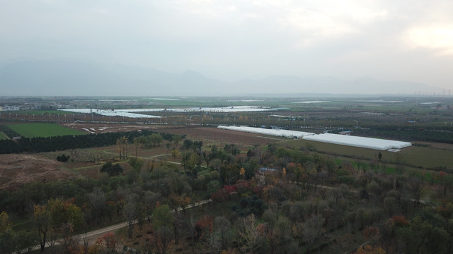 航拍麦田麦地麦苗