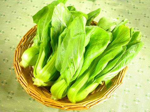 生的青菜 油菜