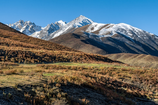 四川德格雀儿山雪山