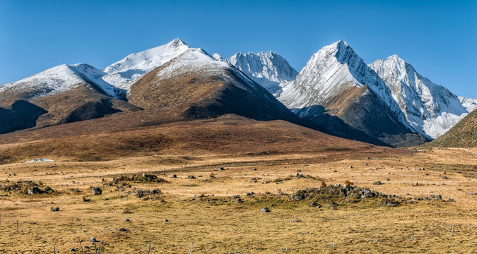 四川德格雀儿山雪山