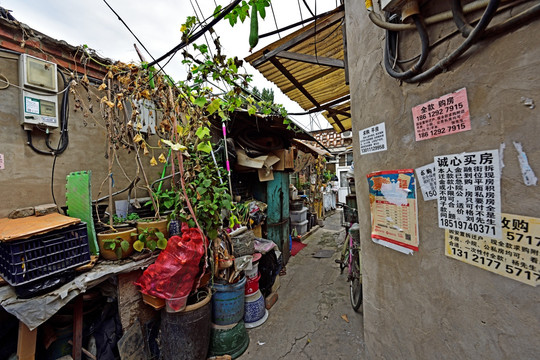 北京胡同 老北京 北京老照片