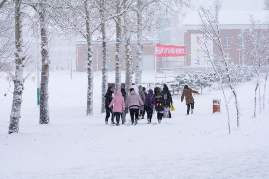 校园下雪