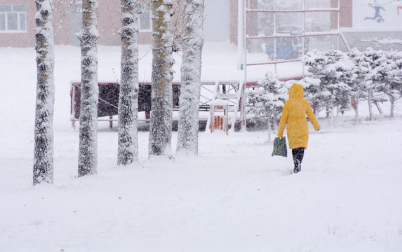 校园大雪