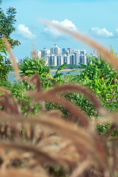 泉州风景