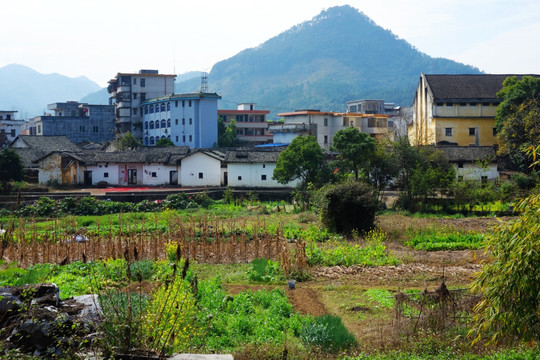 小镇田园