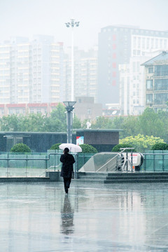 雨中即景