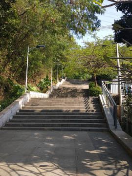 公园台阶