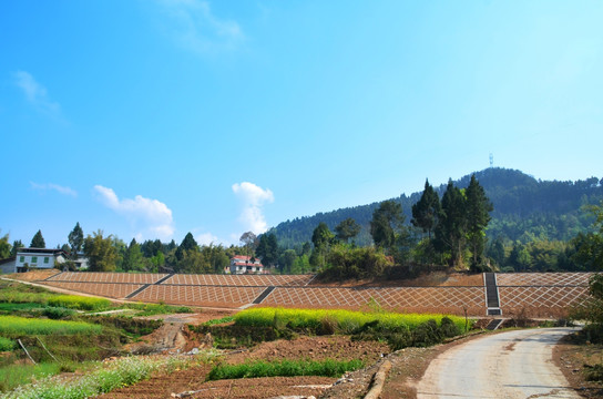 水库堤坝