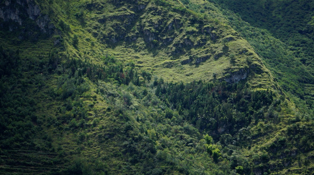 山 风景 森林